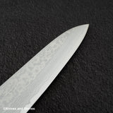 Masutani Sairyu VG10 Damascus Gyuto 180mm Western Handle