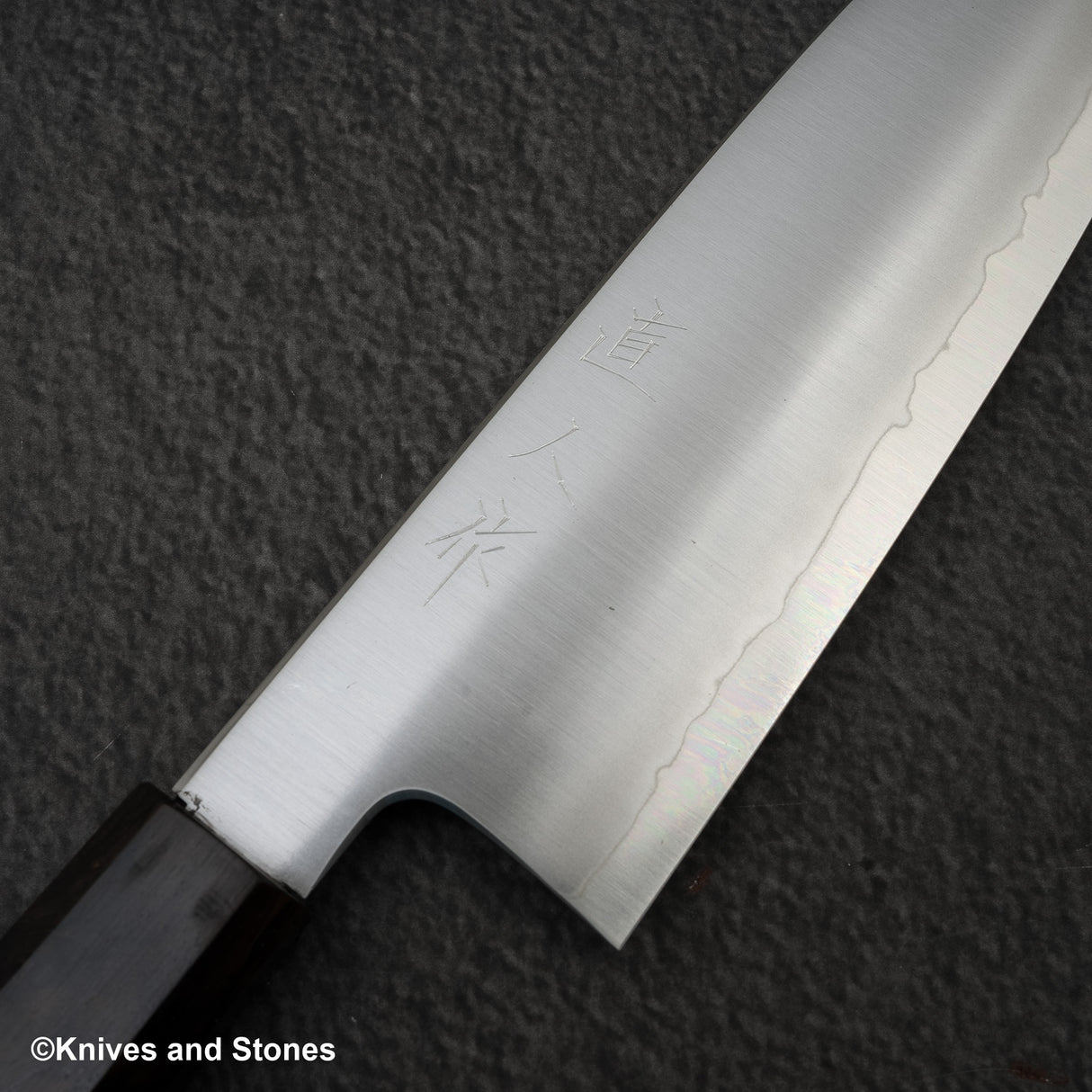 Myojin Cobalt Special COSP Santoku 180mm Ebony Handle