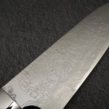 Takeshi Saji Diamond Damascus R2 Santoku 180mm with Ironwood Handle