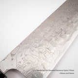 Takeshi Saji SG2 Diamond Damascus Gyuto 210mm