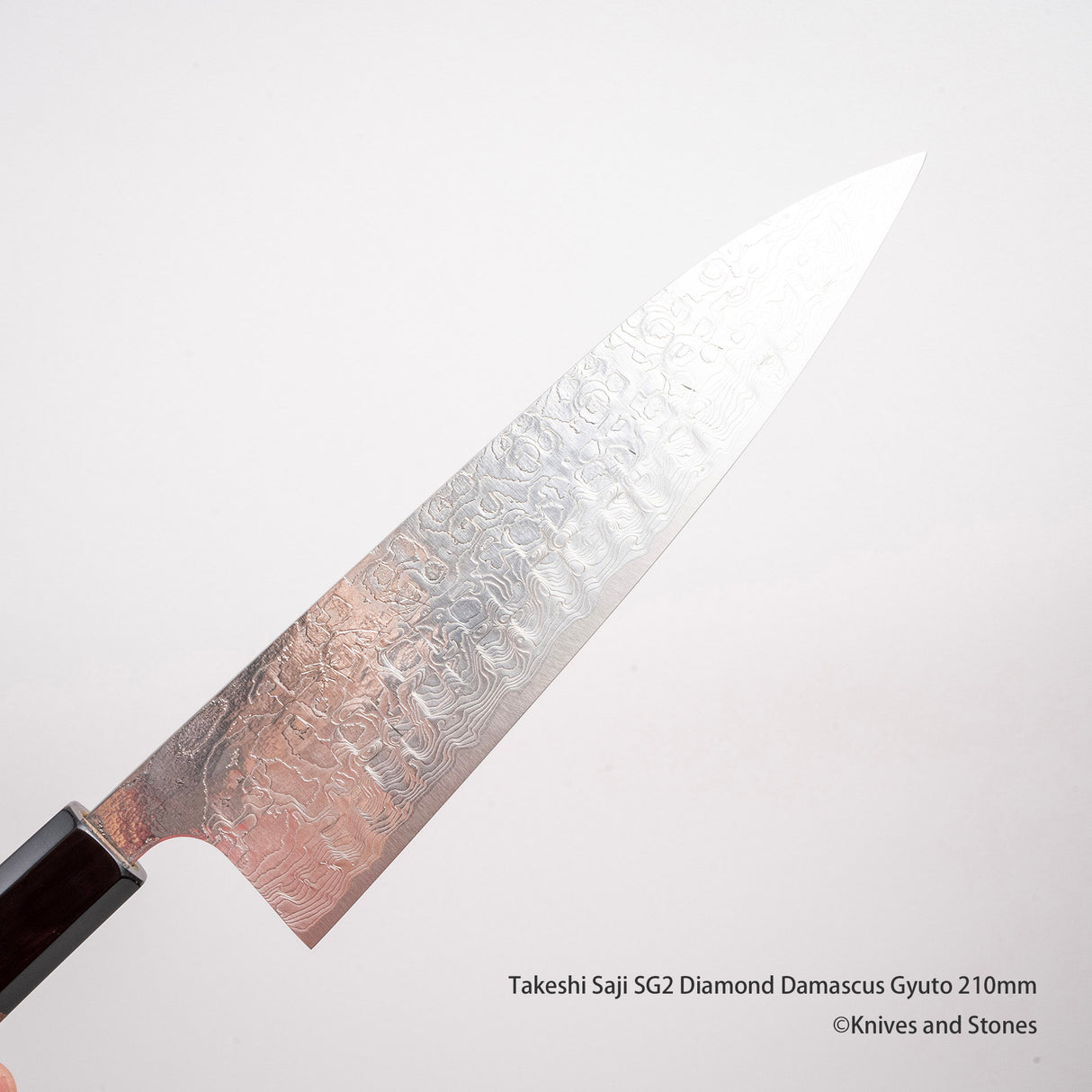 Takeshi Saji SG2 Diamond Damascus Gyuto 210mm