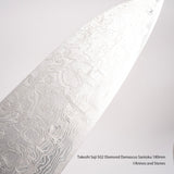 Takeshi Saji SG2 Diamond Damascus Santoku 180mm